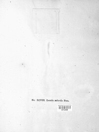 Heyderia abietis image